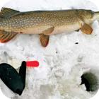 Отличная зимняя рыбалка в Финляндии